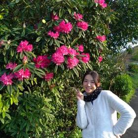 内山 心晴のプロフィール写真