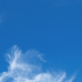 ボディメイクトレーナー yuのプロフィール写真