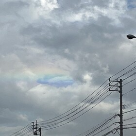 う いのプロフィール写真