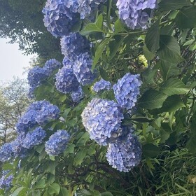 ことばの教室すず 言語聴覚士　鈴木のプロフィール写真